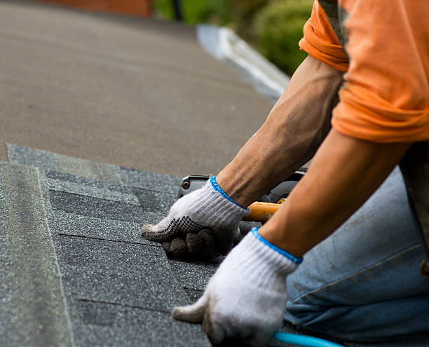 Best Local Roofing Companies  in Creola, AL