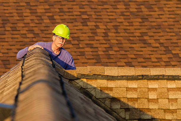 Best Storm Damage Roof Repair  in Creola, AL